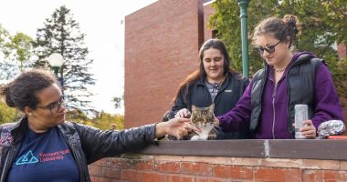جامعة أمريكية تكرم "قط" لتعامله الودود مع الطلبة ودوره فى حمايتهم من الفئران