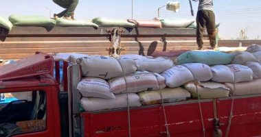 تموين سوهاج: توريد 100 ألف طن من القمح إلى الشون والصوامع
