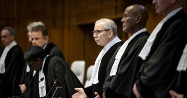 "المستقلين الجدد": قرارات محكمة العدل الدولية نجاح لجهود الدبلوماسية المصرية