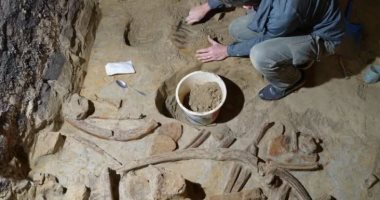عمره 40 ألف عام.. العثور على عظام حيوان الماموث المنقرض بالنمسا