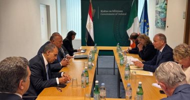 تفاصيل لقاءات وزير الخارجية مع نظيريه الأيرلندي والبريطاني حول الأوضاع في غزة