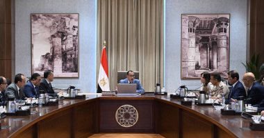 رئيس الوزراء يتابع جاهزية المتحف المصرى الكبير للافتتاح