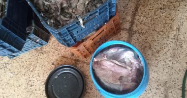 ضبط 900 كيلو أسماك مملحة ومواد غذائية غير صالحة بكفر الشيخ   