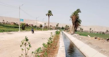 زراعة 500 شجرة جديدة بقرية نيدة بمحافظة سوهاج