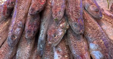 شاهد أحلى وأجمل أكلات السمك فى سوق بورسعيد.. فيديو وصور