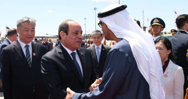 الرئيس السيسى والشيخ محمد بن زايد