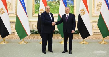 رئيس مجلس الشيوخ يبحث تعزيز التعاون مع رئيس جمهورية أوزباكستان