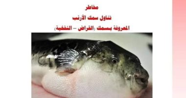 صحة القليوبية تحذر المواطنين من تناول سمكة الأرنب السامة: تؤدى إلى الوفاة