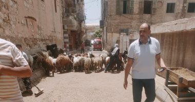 حملات لإزالة شوادر الأضاحى المخالفة بأحياء الإسكندرية والغرامة تصل 25 ألف جنيه
