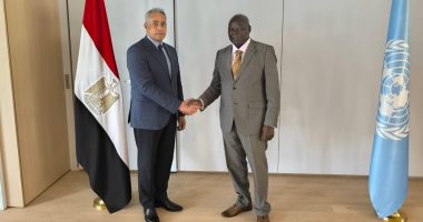 وزير العمل لنظيره الزيمبابوى: مصر حريصة على تعزيز التعاون مع الأشقاء الأفارقة