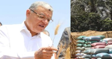 محافظ المنيا: شون المحافظة تواصل استقبال القمح وتوريد 352 ألف طن حتى الآن