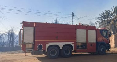 محافظ الوادى الجديد: 29 سيارة إطفاء سيطرت على حريق فى نخيل بقرية القلمون