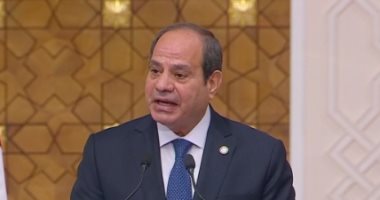الرئيس السيسى: أكدت لرئيس أذربيجان مساندة مصر للمبادرات الرامية لتحقيق السلام
