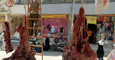 انخفاض أسعار اللحوم.. الكيلو بـ320 جنيها بمبادرة وزارة الزراعة في المنوفية