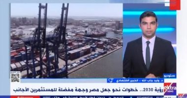 خبير: مصر بذلت مجهودات كبيرة فى تهيئة البنية التحتية اللازمة للاستثمار