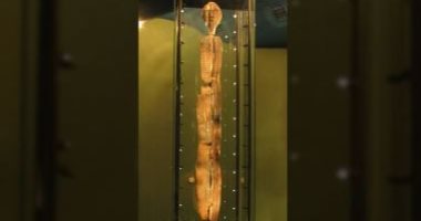 تعرف على تمثال شيجير أقدم منحوتة خشبية في العالم