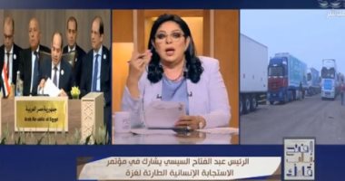 أميرة بهى الدين: الدولة المصرية عملت فى جميع المسارات لدعم القضية الفلسطينية