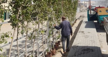 وزارة البيئة: انتهاء زراعة 1.4 مليون شجرة في العام الأول للمبادرة الرئاسية