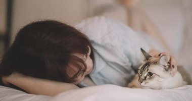 خمس نصائح لتوديع قطتك في نهاية حياتها بسلام