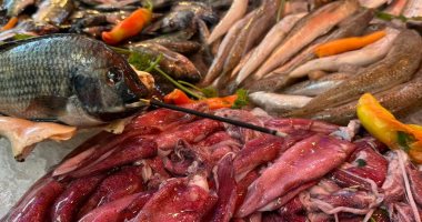 "سمك مولع بخور".. اختراعات البائعين فى سوق السمك ببورسعيد.. فيديو