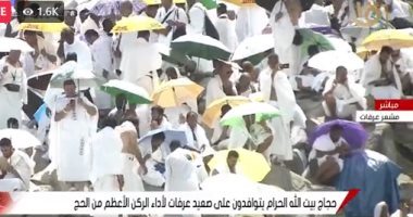 تليفزيون اليوم السابع يقدم بثا مباشرا لتوافد الحجاج على صعيد عرفات.. فيديو
