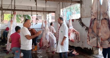 محافظ كفر الشيخ: فتح المجازر لذبح الأضاحى للمواطنين بالمجان خلال عيد الأضحى