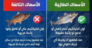 كيف تفرق بين الأسماك الطازجة والتالفة؟ وزارة الصحة تجيب فى إنفوجراف