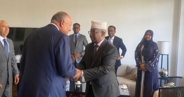 وزيرا خارجية مصر والصومال: تدشين خط طيران مباشر بين البلدين يوليو المقبل