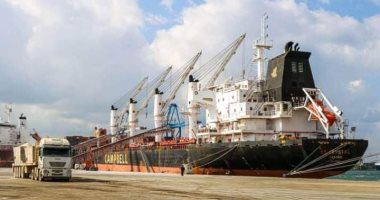 ميناء دمياط يستقبل 2000 طن أخشاب اليوم