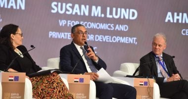 حسام هيبة: نهدف لتحويل مصر إلى مركز للاستثمارات الإقليمية بالمنطقة