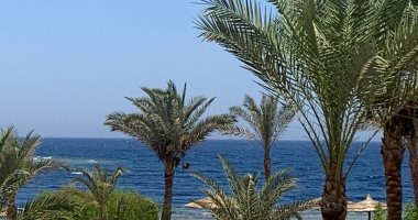 شواطئ جنوب البحر الأحمر.. طبيعة خلابة تسر الناظرين.. فيديو