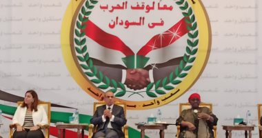 وزير الخارجية: الأزمة في السودان تتطلب معالجة جذورها عبر حل سياسى شامل