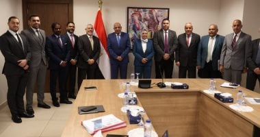 وزير الكهرباء يبحث مع شركة AMEA POWER الإماراتية زيادة استثماراتها بمصر