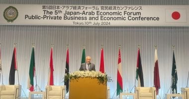 أبو الغيط يدعو لتوسيع الشراكة العربية اليابانية إلى مستوى الشراكة الاستراتيجية