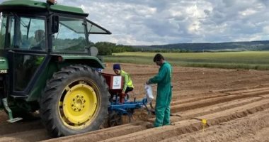 مزارعو فرنسا: نواجه انخفاضا حادا فى إنتاج القمح وخسارة 20% بالمحاصيل بسبب الحر