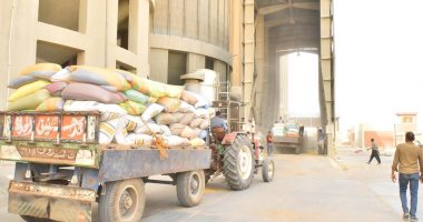 محافظ أسيوط: ارتفاع توريد القمح إلى 194 ألف طن للشون والصوامع