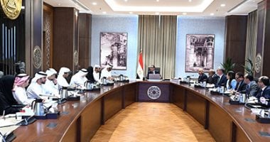 رئيس الوزراء يبحث مجالات التعاون بين مصر والإمارات في ملف الطاقة المتجددة 