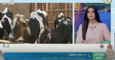 نجلاء رضوان: الحملة القومية لتحصين المواشي تستغرق حوالي شهر ونصف