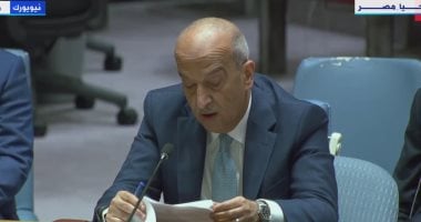 مندوب مصر بالأمم المتحدة: احتلال الجانب الفلسطيني من معبر رفح تسبب في توقف المساعدات