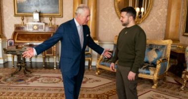 الرئيس الأوكرانى يلتقى بالملك تشارلز الثالث ويؤكد: بريطانيا أهم حلفاء بلاده