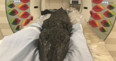 اكتشاف الوجبة الأخيرة المميتة لتمساح مصرى محنط عمره 2000 عام