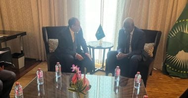 وزارة الخارجية: مصر حريصة على الجهود الهادفة لمواجهة التحديات فى أفريقيا