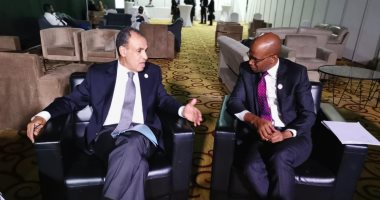 وزير الخارجية يعقد لقاءً ثنائيًا مع نظيره التنزانى