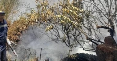 السيطرة على حريق بأحد الجزر النيلية بمدينة أسوان
