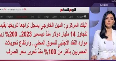 خبير اقتصادى: انخفاض الدين الخارجى مؤشر لقدرة الاقتصاد على سداد التزاماته