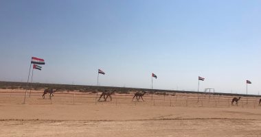 ميدان سباقات الهجن بالعلمين: معلم رياضى حديث على ساحل مصر الشمالى