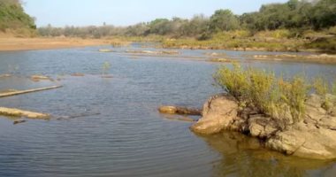 يونسكو: إزالة أكبر حديقة طبيعية فى السنغال من قائمة التراث المهدد بالانقراض