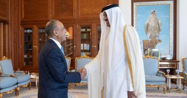 أمير قطر يؤكد لوزير الخارجية ترحيب بلاده بتطور العلاقات المصرية القطرية