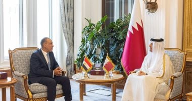 وزير الخارجية يؤكد لرئيس وزراء قطر ضرورة الوقف فورى لإطلاق النار فى غزة