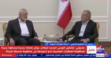 خبير: مصر تحاول دائما التأكيد على أهمية إيقاف حالة التصعيد الإسرائيلى